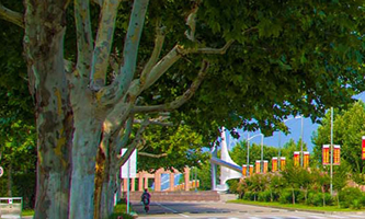 ���w�W(xu��)Ժ