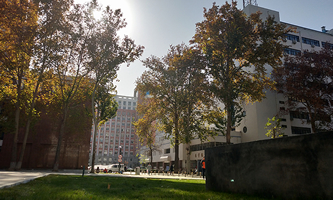 �ӱ��t(y��)�ƴ�W(xu��)�R���W(xu��)Ժ