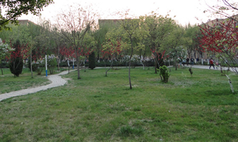 ���������WԺ