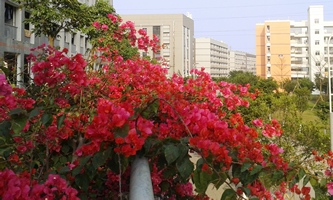 ����������W�麣�WԺ