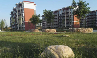 �������������I(y��)�W(xu��)Ժ