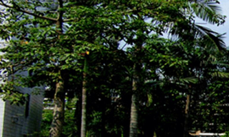 ����Ԫƽ��������W(xu��)У