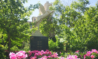 ��呪(y��ng)�ü��g(sh��)�I(y��)�W(xu��)Ժ