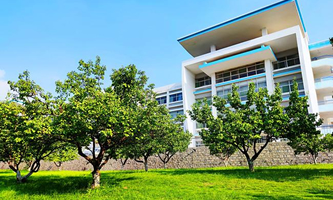 ɽ�|����I(y��)���g(sh��)�W(xu��)Ժ