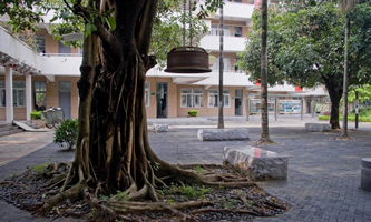 ���������g(sh��)�W(xu��)У