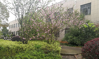 ������е¿Ƽ��I(y��)�WУ