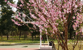 ����ЬF(xi��n)����Ϣ�е��I(y��)�W(xu��)У