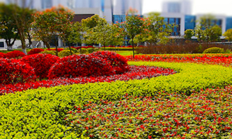 �ؑcˮ������I(y��)���g�WԺ