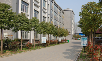 �S�����̹���WУ