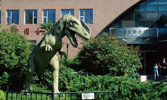 �Ї��ƌW(xu��)Ժ�ż�׵�����c������о���