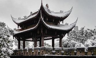 �Ĵ�����WԺ