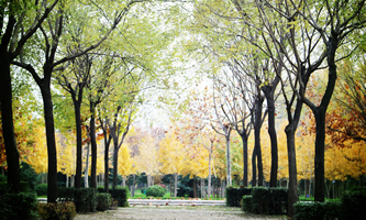 �����Ƽ���W(xu��)���W(xu��)Ժ