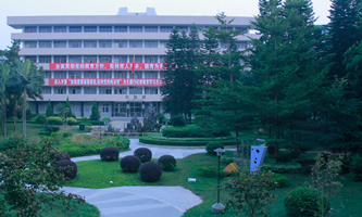 �V�|���g(sh��)������W