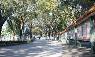 �|ݸ�����W(xu��)Ժ