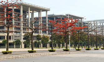 V|I(y)W(xu)2022ˮƽ\(yn)(du)Y(f)wI(y)yԇ