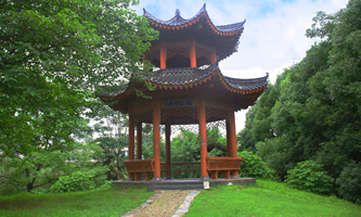 ������(j��ng)��(j��)�W(xu��)Ժ