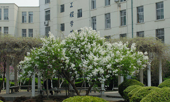 ɽ�|�r(n��ng)�I(y��)��W(xu��)