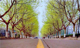 ���K������W(xu��)���ČW(xu��)Ժ