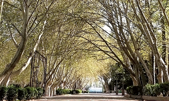 ʯ���f�F����W(xu��)�ķ��W(xu��)Ժ