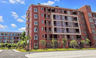 �ؑc�����I(y��)�WԺ