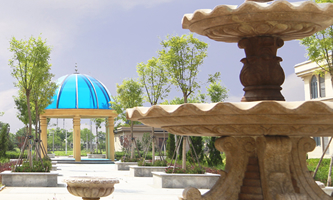 ��ɽ���\�I(y��)�W(xu��)Ժ