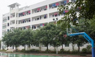 �麣һ���WУ