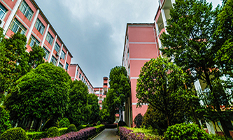 �����е½�ͨ�����W(xu��)У