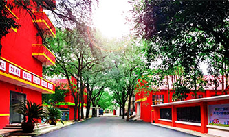 ����������е��I(y��)���g(sh��)�W(xu��)У