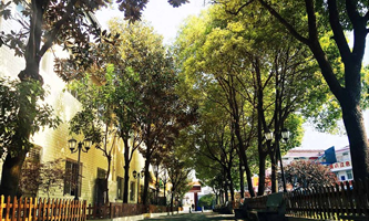 ���|���I(y��)���g(sh��)�W(xu��)У