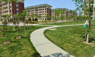 ������t(y��)ˎ��W