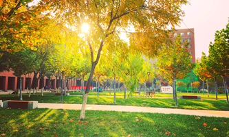 ����е��ü��g��W