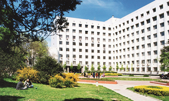 �׶�������W