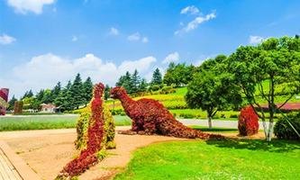 ���l(xi��ng)�мt��^(q��)�I(y��)��������