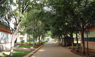 ��Ϫ���I(y��)ؔ(c��i)�Q(m��o)�W(xu��)У