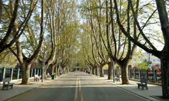 �������ݙC(j��)���Ϣ���̌W(xu��)У