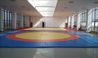 ���c���w���W(xu��)У