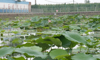 ��ɽ���S�υ^(q��)�r(n��ng)�I(y��)���g(sh��)�߼�(j��)�ЌW(xu��)