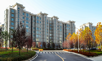 ����ؔ����W