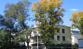 II(y)W(xu)2022Ƚ܌W(xu)(hu)ƌW(xu)оY(xing)Ŀ