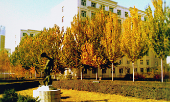 ���������̌WԺ