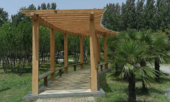 ��������W(xu��)Ժ