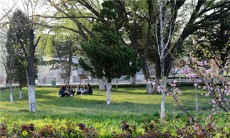 ɽ�|���̌W(xu��)Ժ