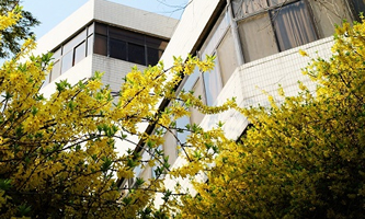 �Ͼ�ؔ��(j��ng)��W(xu��)�tɽ�W(xu��)Ժ