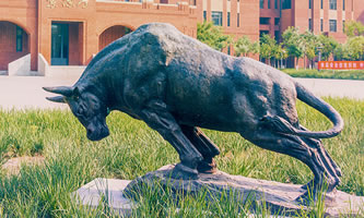 ���C(j��)��I(y��)���g(sh��)�W(xu��)Ժ