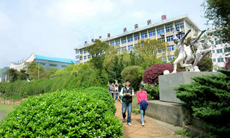 �Lɳ����I(y��)���g(sh��)�W(xu��)Ժ