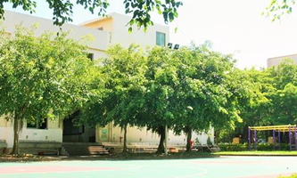 �麣һ���WУ