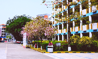 ��ɽ���Ϻ��^(q��)�}���I(y��)���g(sh��)�W(xu��)У