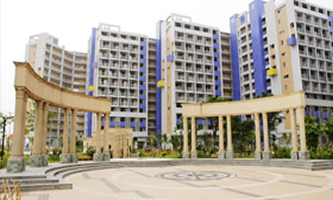 ���T�ňD���I(y��)���g(sh��)�WУ