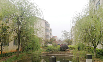 ������е¿Ƽ��I(y��)�WУ