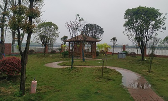 ���(y��ng)�н��O(sh��)�Ƽ��I(y��)���g(sh��)�W(xu��)У